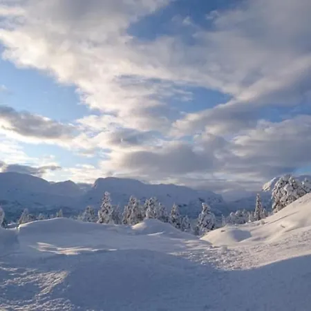 Hallbjonn Hoyfjellsenter Hytte 4 Apartment Dalen