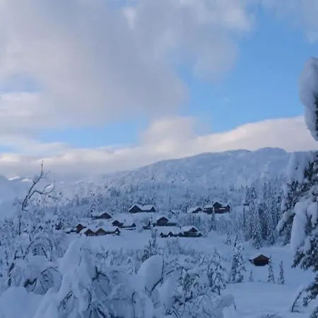 Hallbjonn Hoyfjellsenter Hytte 4 Dalen