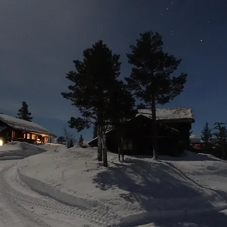 Daire Hallbjonn Hoyfjellsenter Hytte 4