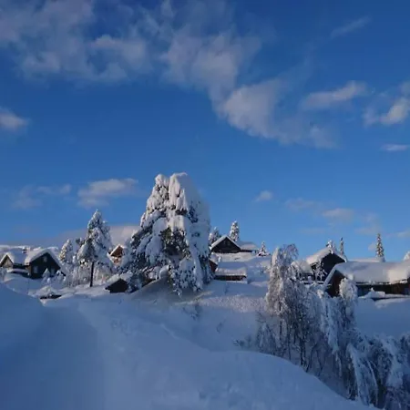 דירה Hallbjonn Hoyfjellsenter Hytte 4 *
