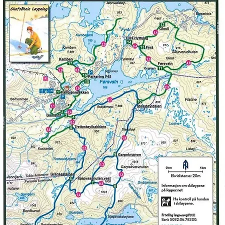 Hallbjonn Hoyfjellsenter Hytte 4 Daire Dalen
